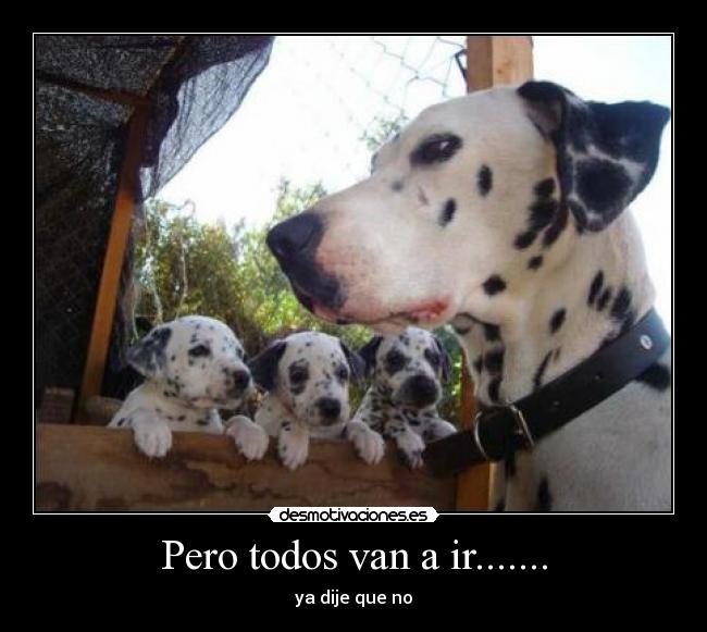 Pero todos van a ir....... -