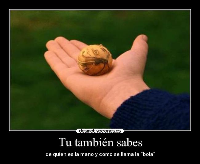 Tu también sabes -