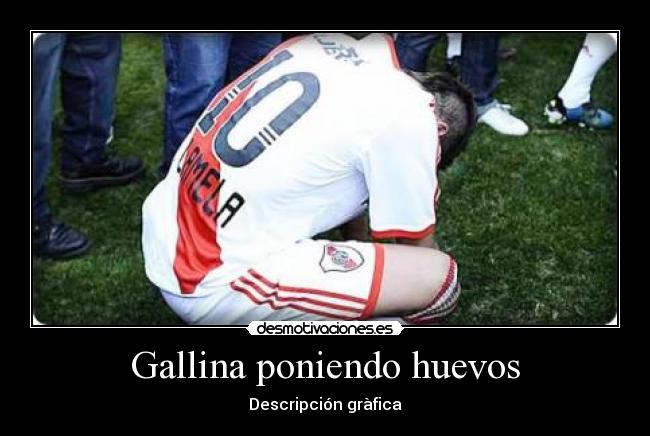 Gallina poniendo huevos - Descripción gràfica