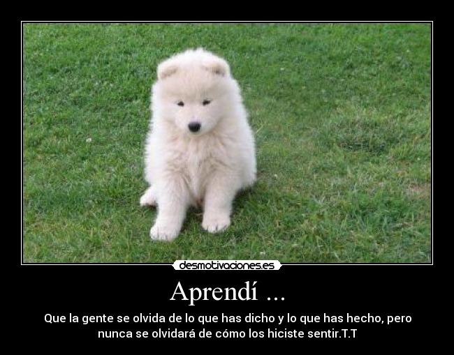 Aprendí ... -