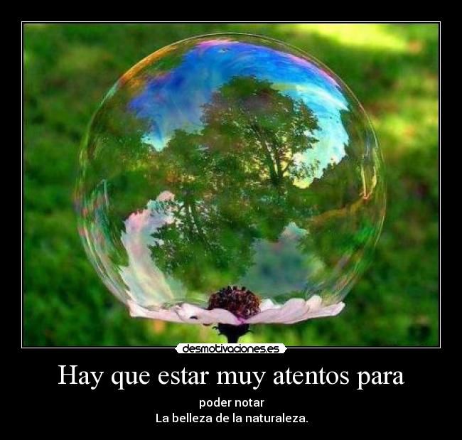 Hay que estar muy atentos para - poder notar
La belleza de la naturaleza.