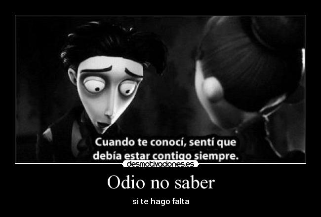 Odio no saber -