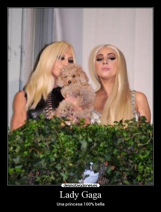 Lady Gaga -