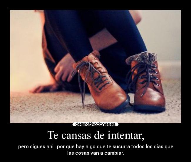 Te cansas de intentar, - 