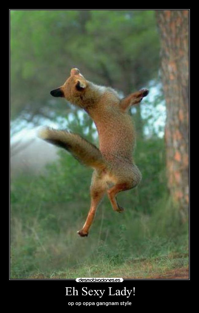 Eh Sexy Lady! - op op oppa gangnam style