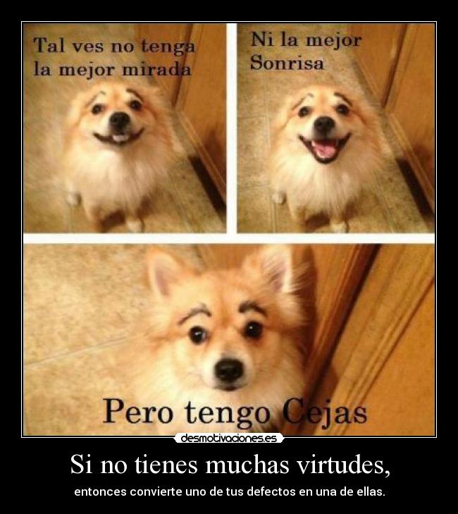 Si no tienes muchas virtudes, - entonces convierte uno de tus defectos en una de ellas.