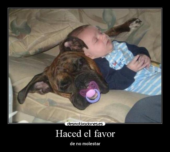 Haced el favor -