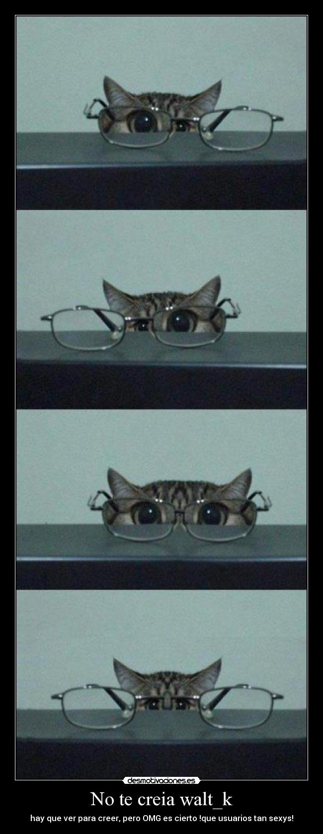 No te creia walt_k - hay que ver para creer, pero OMG es cierto !que usuarios tan sexys!
