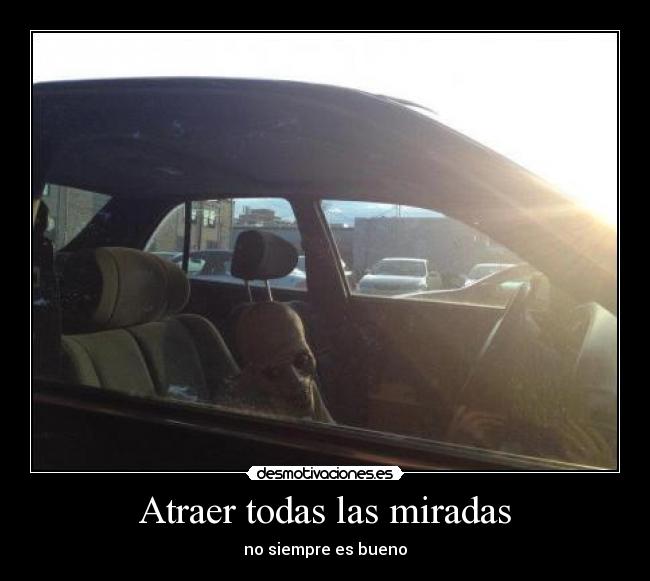 Atraer todas las miradas - no siempre es bueno