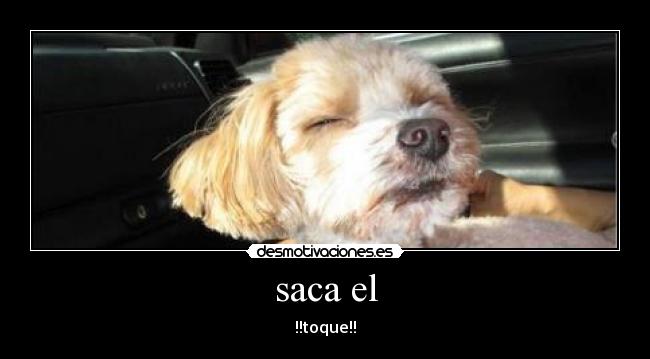 carteles desmotivaciones