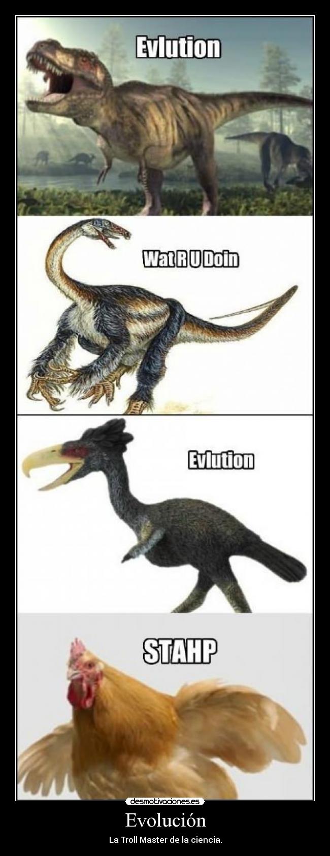 Evolución - 