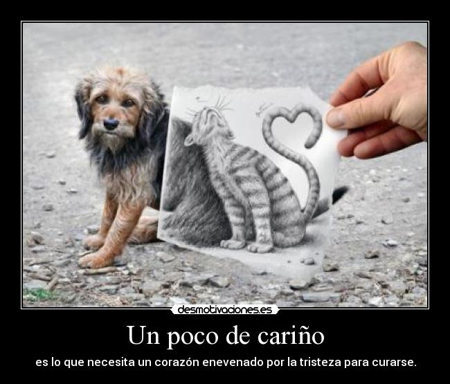 Un poco de cariño -