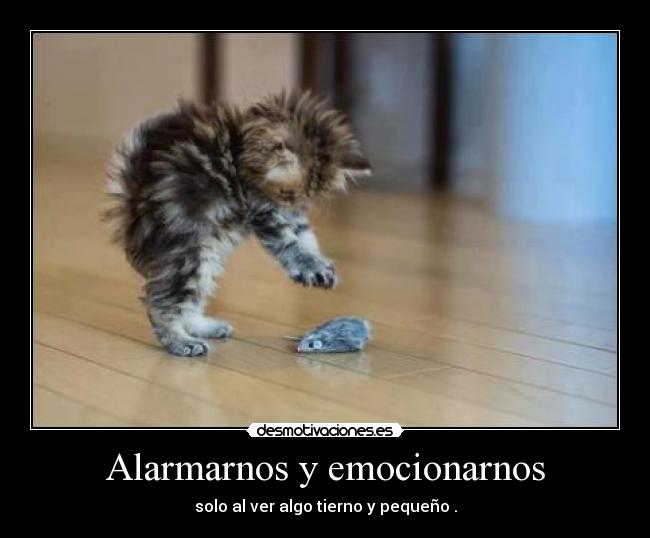 Alarmarnos y emocionarnos - solo al ver algo tierno y pequeño .
