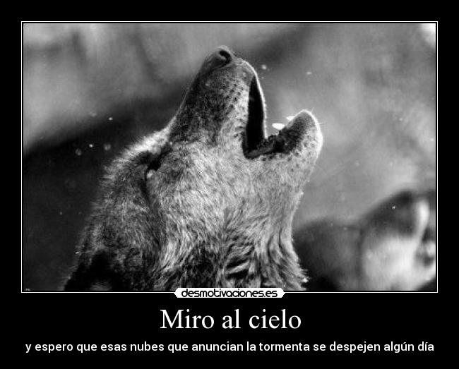 Miro al cielo -