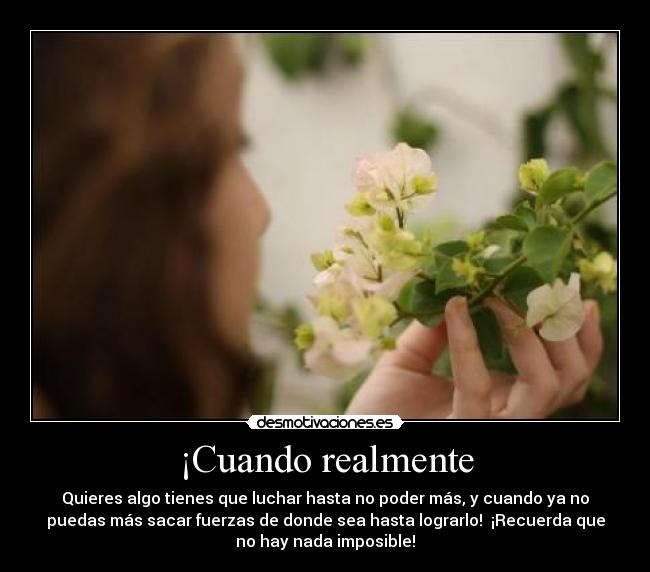 ¡Cuando realmente - Quieres algo tienes que luchar hasta no poder más, y cuando ya no
puedas más sacar fuerzas de donde sea hasta lograrlo! ¡Recuerda que
no hay nada imposible!