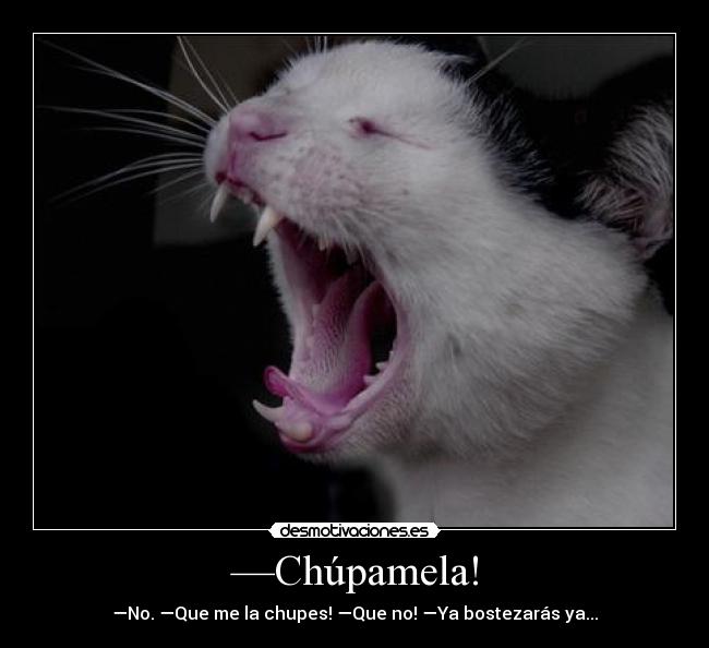 —Chúpamela! -