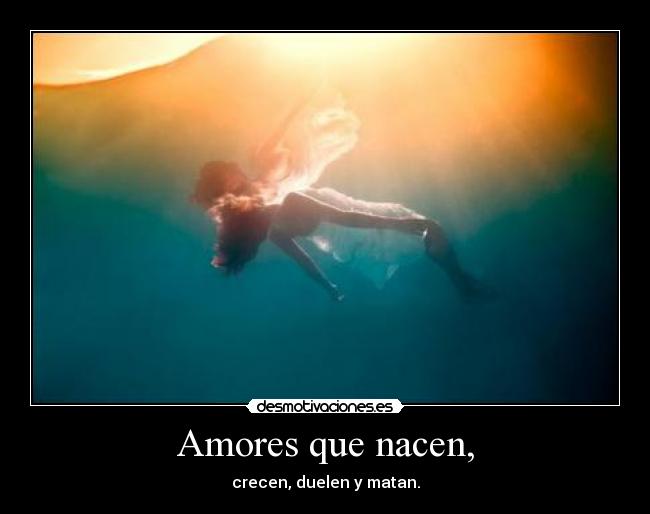 Amores que nacen, -