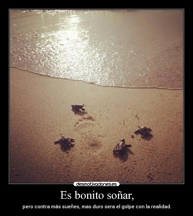 Es bonito soñar, - pero contra más sueñes, mas duro sera el golpe con la realidad.