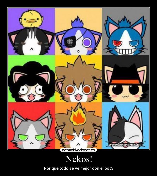 Nekos! - Por que todo se ve mejor con ellos :3