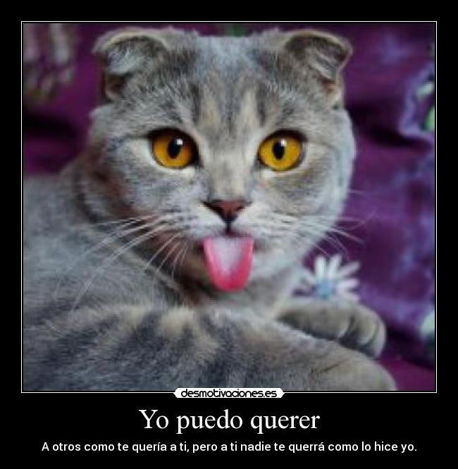 Yo puedo querer - A otros como te quería a ti, pero a ti nadie te querrá como lo hice yo.