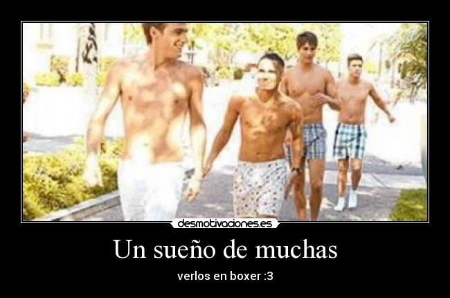 Un sueño de muchas - verlos en boxer :3
