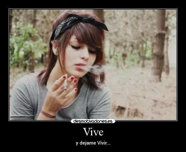 Vive - 