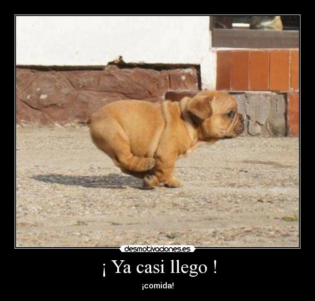 ¡ Ya casi llego ! - ¡comida!
