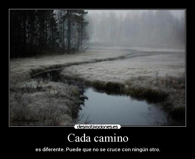 Cada camino - 