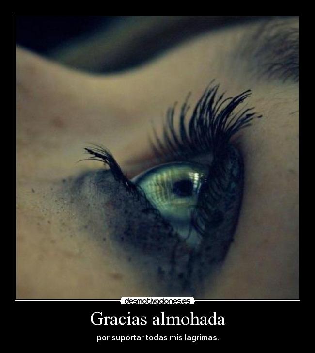 Gracias almohada -