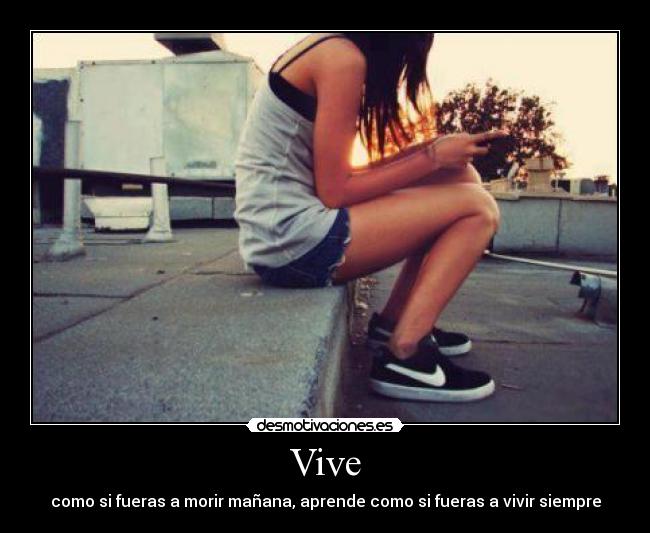 Vive - 