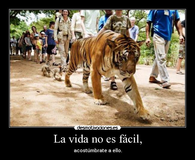 La vida no es fácil, - acostúmbrate a ello.