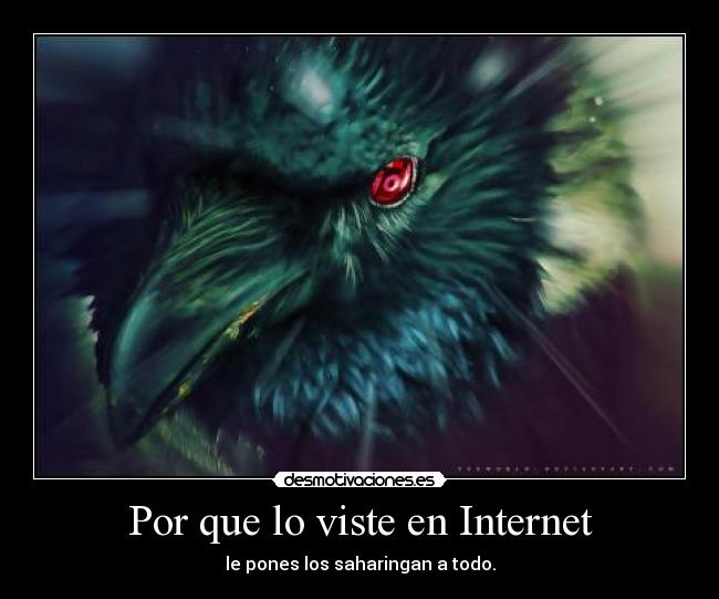 Por que lo viste en Internet -