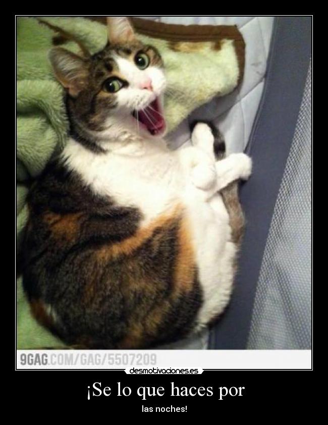 ¡Se lo que haces por -