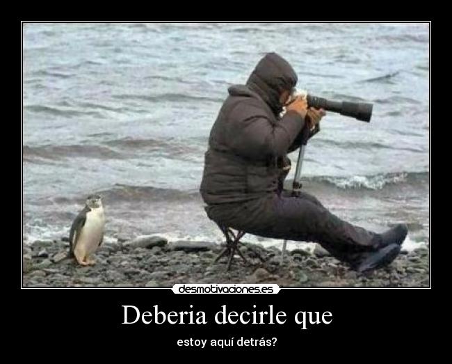 Deberia decirle que -