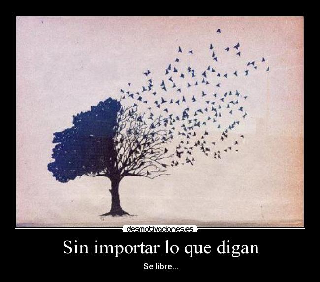 Sin importar lo que digan -