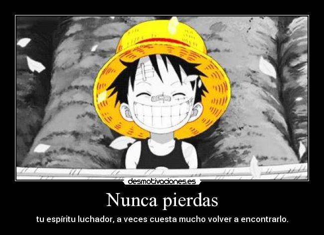 carteles one piece baby luffy sama advalle desmotivaciones