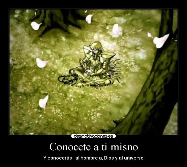 Conocete a ti misno -