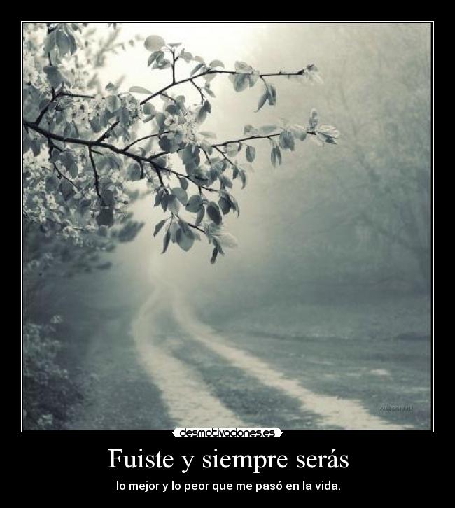 carteles fuiste siempre seras desmotivaciones