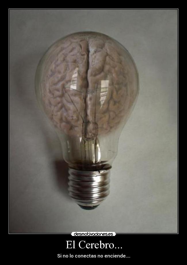 El Cerebro... - 