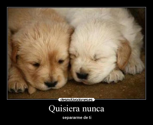 Quisiera nunca - 