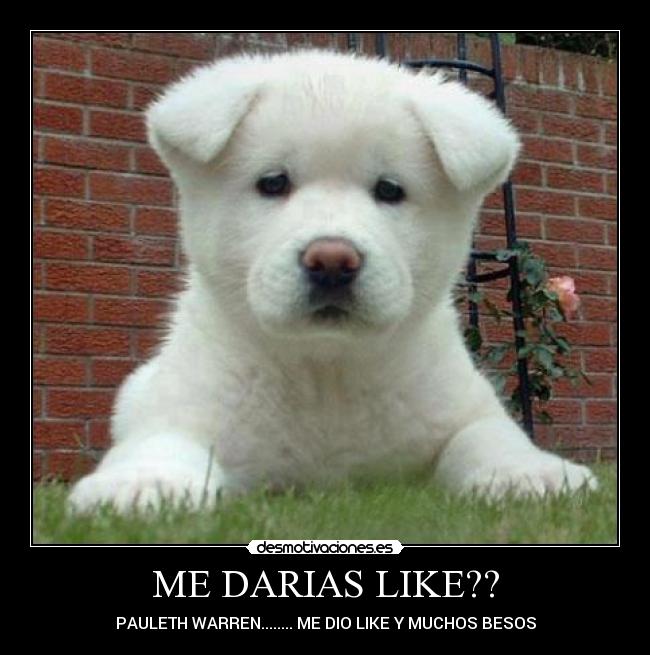 ME DARIAS LIKE?? -
