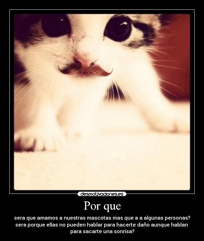 Por que - sera que amamos a nuestras mascotas mas que a a algunas personas?
sera porque ellas no pueden hablar para hacerte daño aunque hablan 
para sacarte una sonrisa?