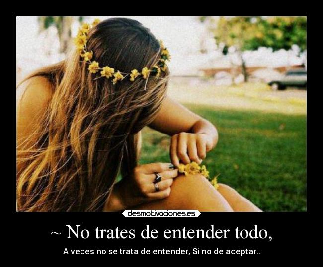 ~ No trates de entender todo, - A veces no se trata de entender, Si no de aceptar..