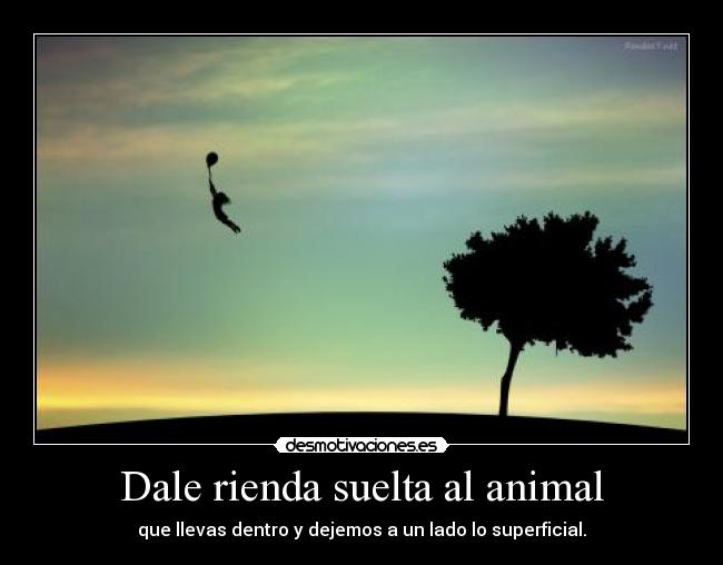 Dale rienda suelta al animal -