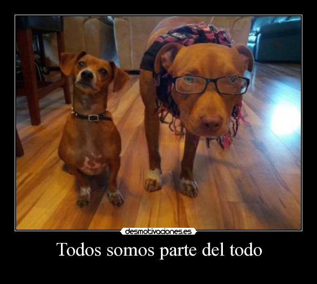 Todos somos parte del todo - 