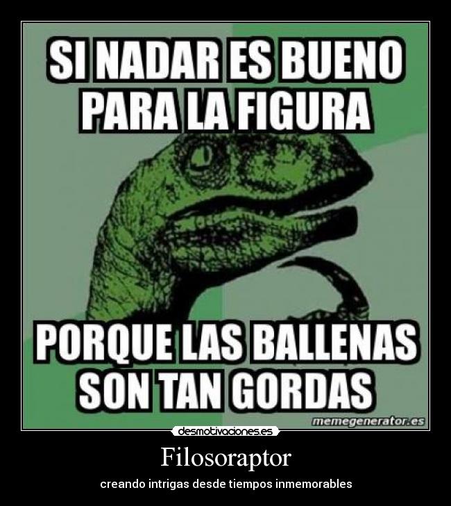 Filosoraptor - 