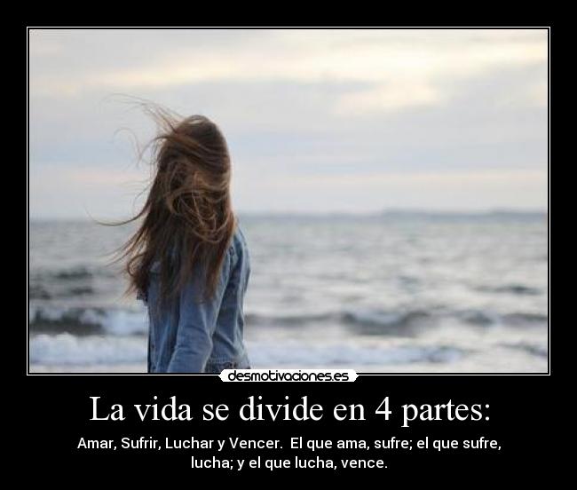 carteles vida jana1819 desmotivaciones