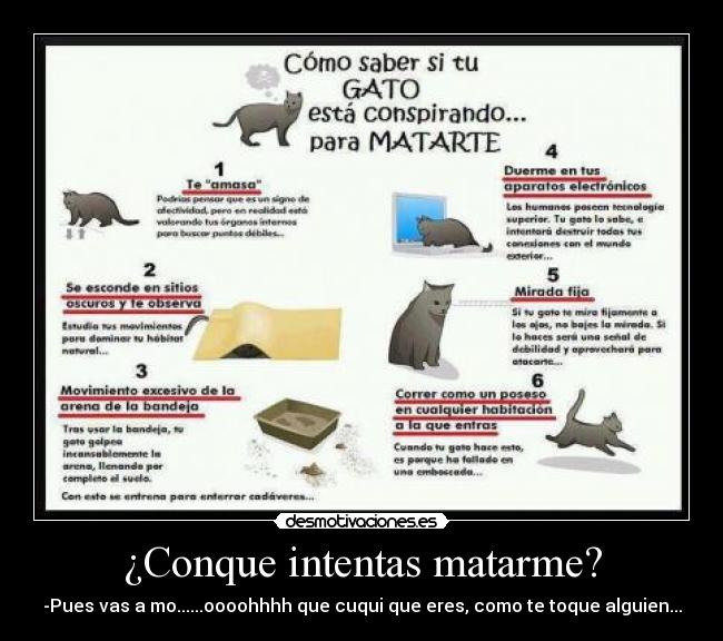 ¿Conque intentas matarme? -