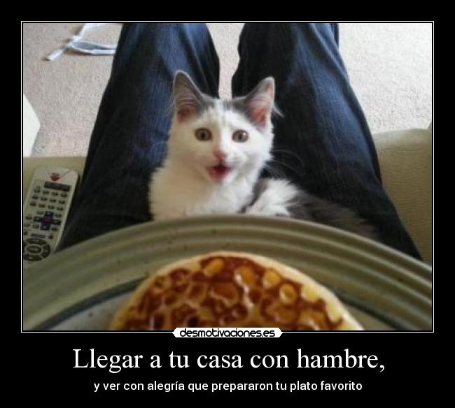 Llegar a tu casa con hambre, - 