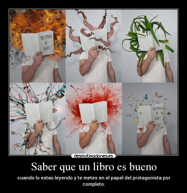 Saber que un libro es bueno - 